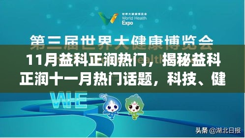 关于我们 第246页