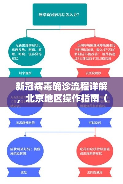初学者操作指南