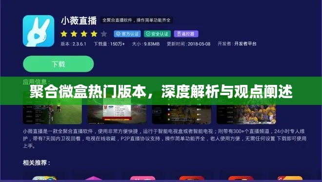 深度解析与观点阐述