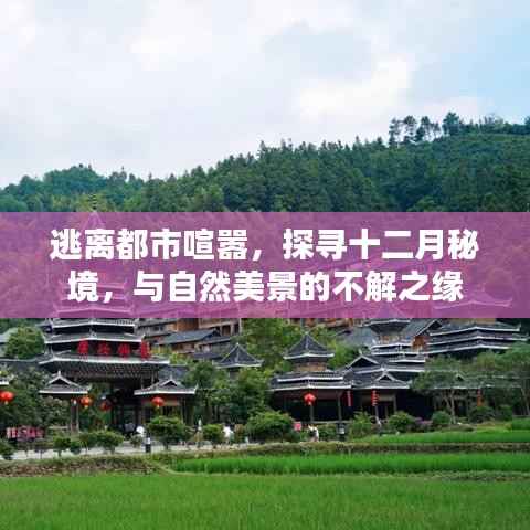 自然美景的不解之缘