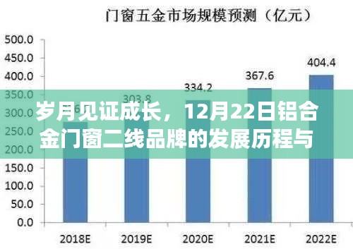 发展历程