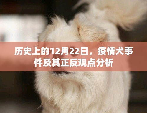 历史回顾