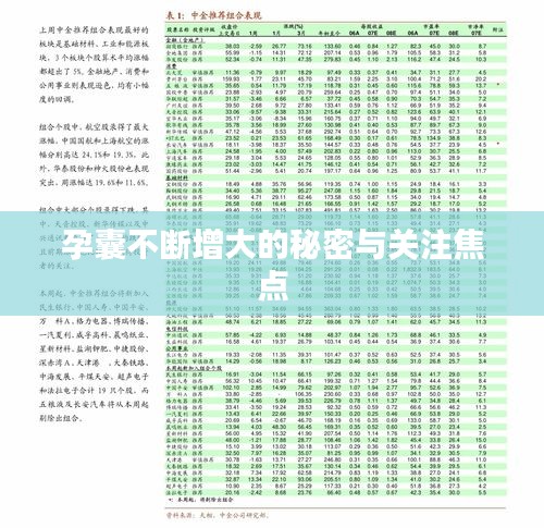 不飞则已 第2页