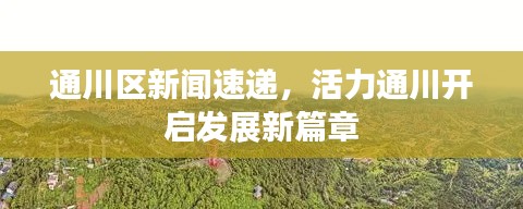 资料大全 第40页