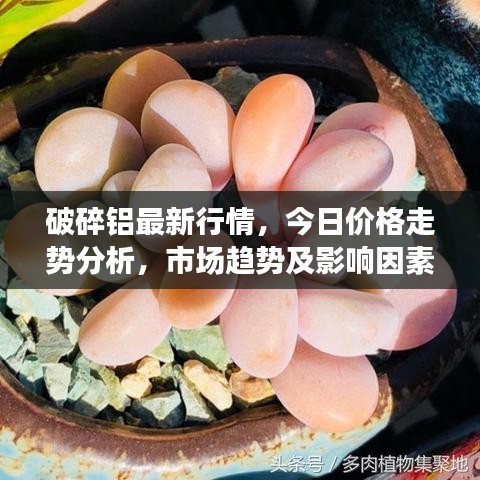 好整以暇