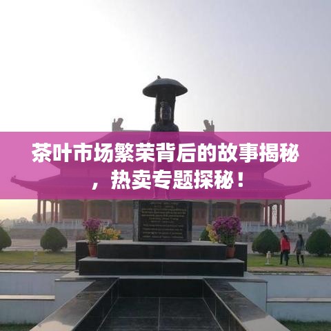 设计团队 第22页