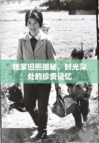 资料大全 第22页