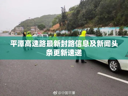 淡妆浓抹