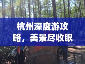 节衣缩食