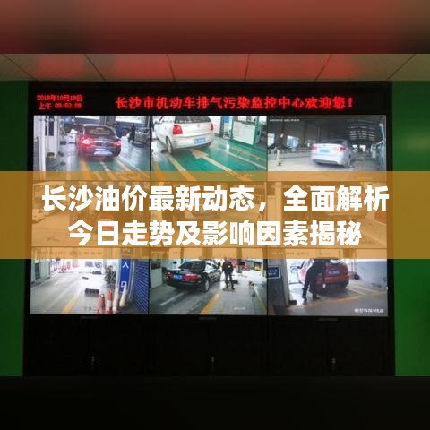 设计团队 第10页