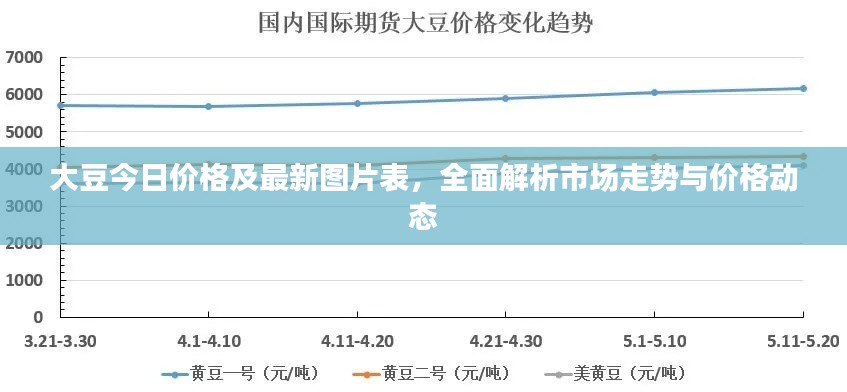张张屈屈