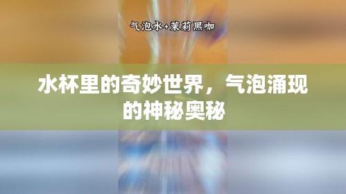 关于我们 第9页