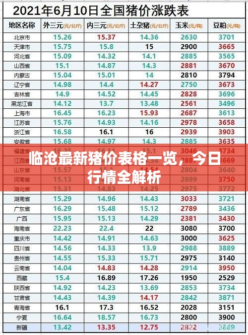声如洪钟