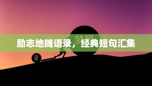 关于我们 第8页