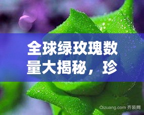 设计团队 第8页