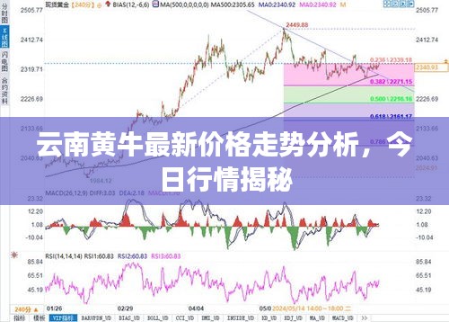 产品中心 第7页
