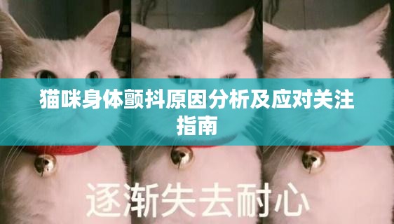 引锥刺股