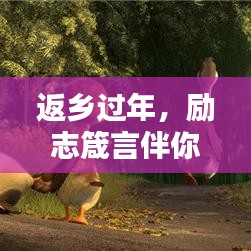 尽善尽美