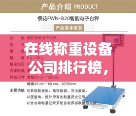 在线称重设备公司排行榜，行业影响力深度解析