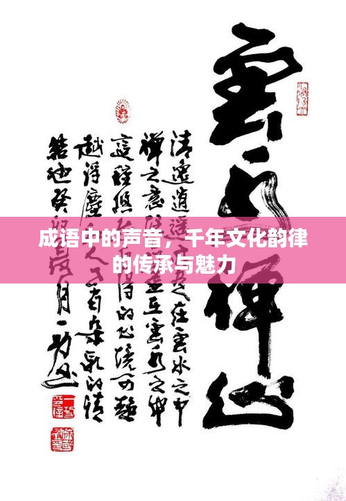 成语中的声音，千年文化韵律的传承与魅力