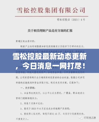 雪松控股最新动态更新，今日消息一网打尽！